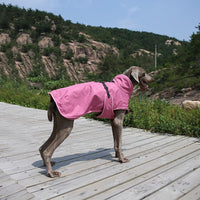 HKM-8394045 Pet Shell Jacket for Dogs - Polyester Winter Ski Suit in Blue, Rose Red, Gray, Sizes S-2XL