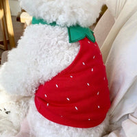 HKM-8399933 Lightweight Polyester Dog Undershirt in Fun Prints - Available in Various Sizes and Colors