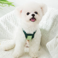 HKM-8399933 Lightweight Polyester Dog Undershirt in Fun Prints - Available in Various Sizes and Colors