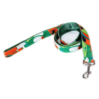 HKM-8404925 Multicolor Check Stripe Dog Leash - Imitation Nylon Traction Belt, 2.5cm x 12cm