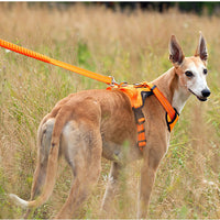 HKM-840915 Adjustable Thoracolumbar Vest for Medium and Large Dogs - Heavy Duty Nylon Chest Band
