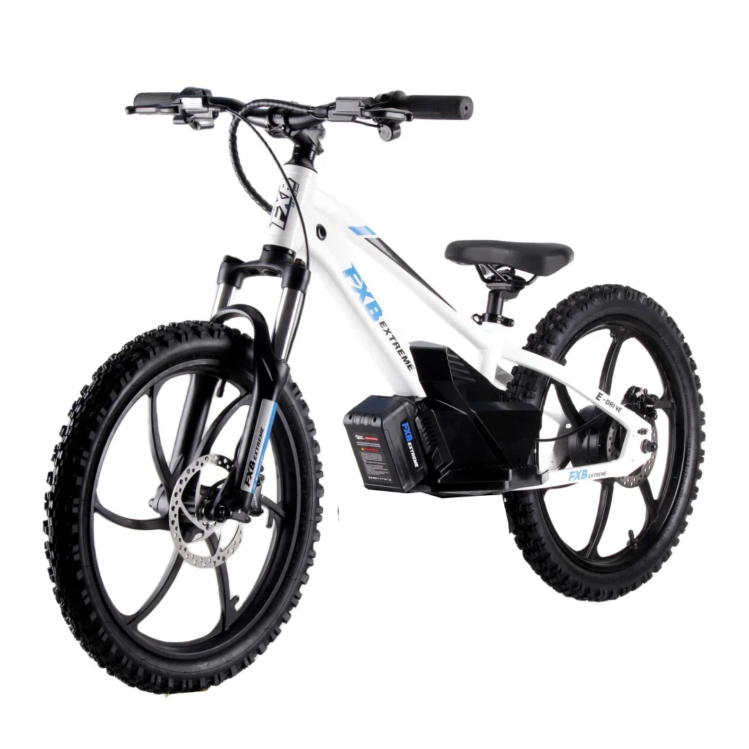 HKM-840979 20-Inch Electric Balance Bike with 36V 600W Motor and Lithium Battery for Kids