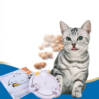 HKM-841171 Interactive Mouse Pounce Durable And Fun Cat Toy