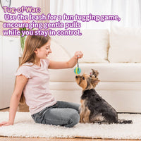 HKM-8412349 Interactive Multi-Color Pet Toy with Sound and Treat Dispensing Features