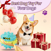 HKM-8412349 Interactive Multi-Color Pet Toy with Sound and Treat Dispensing Features