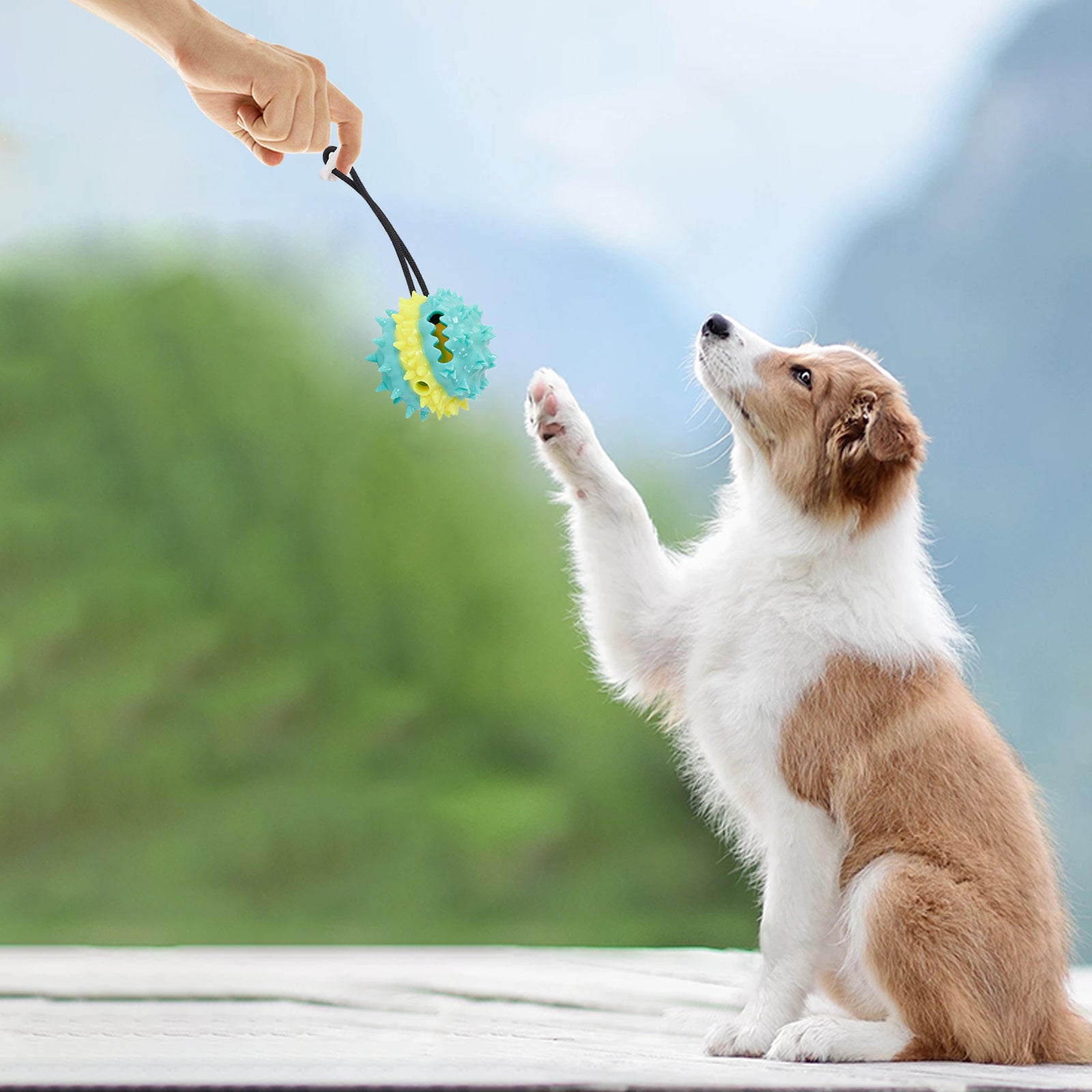 HKM-8412349 Interactive Multi-Color Pet Toy with Sound and Treat Dispensing Features