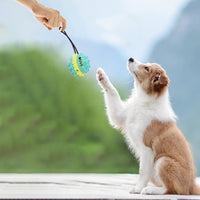 HKM-8412349 Interactive Multi-Color Pet Toy with Sound and Treat Dispensing Features