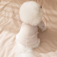 HKM-8415421 Preppy Layered Sweater for Small Dogs and Cats with Striped Shirt Collar