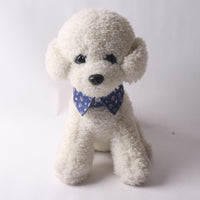 HKM-8419261 Colorful Pet Collars with Metal Accessories in Various Fun Designs
