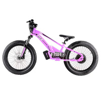 HKM-842131 800W Electric Balance Bike for Kids - 20" Aluminum Frame, 3-Speed, Disc Brake, Up to 45km/h Speed