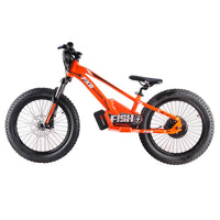 HKM-842131 800W Electric Balance Bike for Kids - 20" Aluminum Frame, 3-Speed, Disc Brake, Up to 45km/h Speed