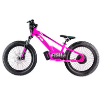HKM-842131 800W Electric Balance Bike for Kids - 20" Aluminum Frame, 3-Speed, Disc Brake, Up to 45km/h Speed