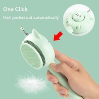 HKM-8423869 5-in-1 Interactive Cat Brush Toy with Retractable Teaser Wand and Light-Up Features