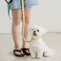HKM-8426173 Cartoon Pattern Dog Leash in Teddy, Fox, and Koala Designs - 2m Polyester Traction Belt
