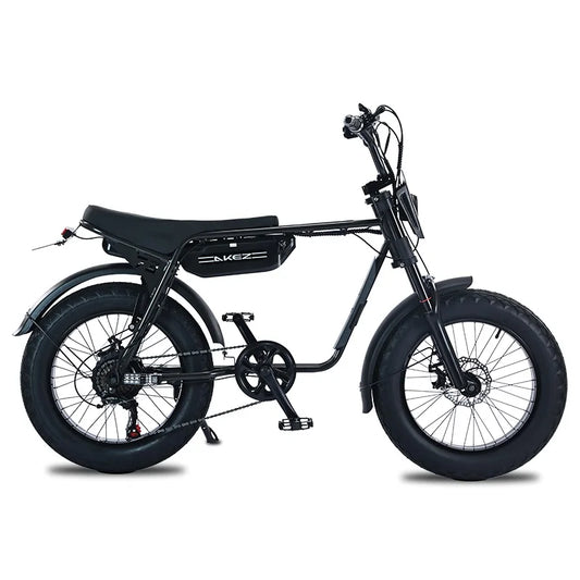 HKM-842643 20-Inch Electric Mountain Bike, 750W Rear Hub Motor, Fat Tire, 7-Speed Gear, Front & Rear Suspension, Max Speed 30-50Km/h, Steel Frame, Grey