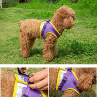 HKM-8428733 Light Reflecting Traction Belt Chest Harness with Breathable Mesh for Small and Medium Dogs