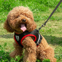 HKM-8428733 Light Reflecting Traction Belt Chest Harness with Breathable Mesh for Small and Medium Dogs