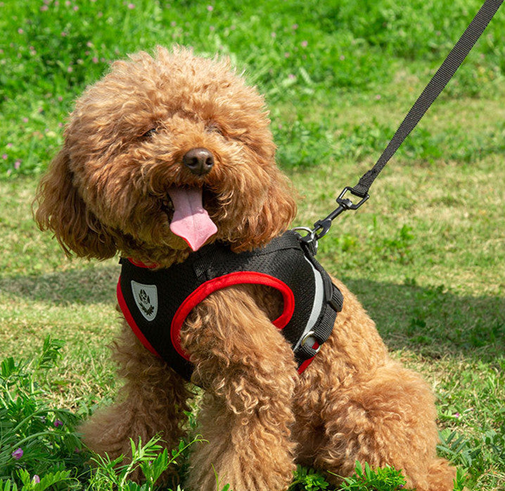 HKM-8428733 Light Reflecting Traction Belt Chest Harness with Breathable Mesh for Small and Medium Dogs