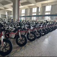 HKM-843283 16-Inch Electric Balance Bike with 350W Motor, Lithium Battery, and Disc Brake - Lightweight, Portable, Eco-Friendly