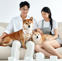 HKM-8435517 Reversible Polyester Pet Bandana in Various Patterns - Sizes S, M, L