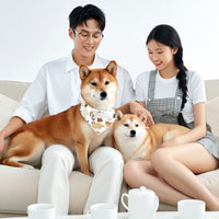 HKM-8435517 Reversible Polyester Pet Bandana in Various Patterns - Sizes S, M, L
