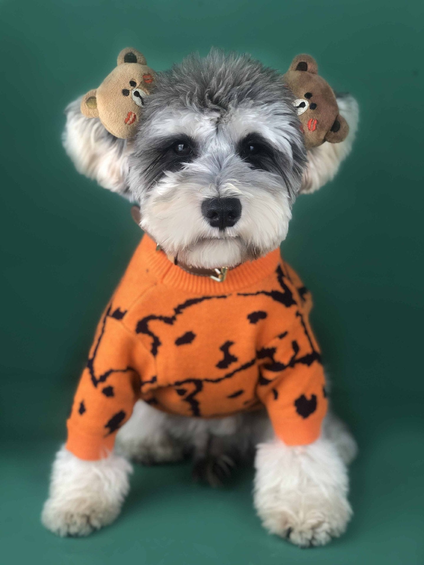 HKM-8435901 Cozy Wool Pullover Dog Sweater for Small Dogs in Orange, Available in Multiple Sizes