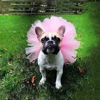 HKM-8436285 Pet Tutu Skirt for Small to Large Pets - Soft Mesh Material, Protective Design, Adjustable Waist
