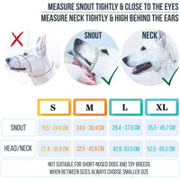 HKM-8443453 Adjustable Nylon Dog Leash with Mouth Cover in Orange, Blue, Red - Sizes S, M, L, XL