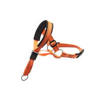HKM-8443453 Adjustable Nylon Dog Leash with Mouth Cover in Orange, Blue, Red - Sizes S, M, L, XL
