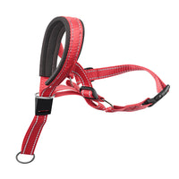 HKM-8443453 Adjustable Nylon Dog Leash with Mouth Cover in Orange, Blue, Red - Sizes S, M, L, XL