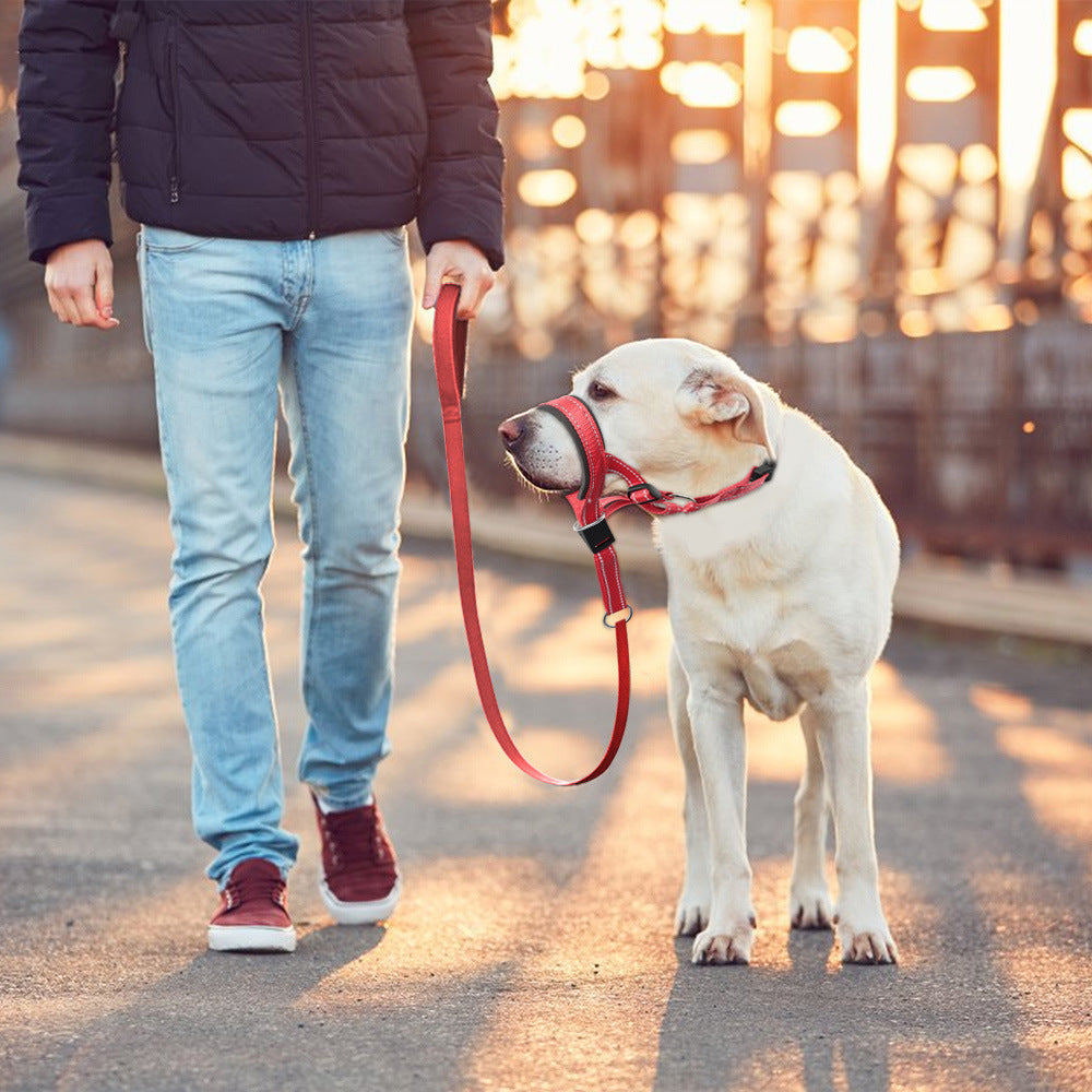 HKM-8443453 Adjustable Nylon Dog Leash with Mouth Cover in Orange, Blue, Red - Sizes S, M, L, XL