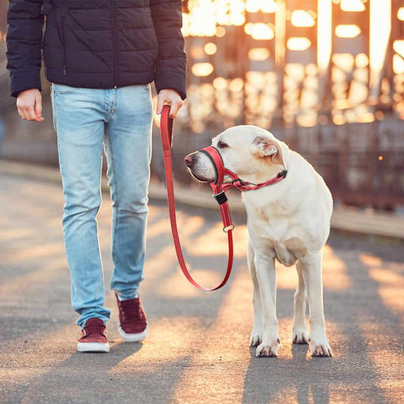 HKM-8443453 Adjustable Nylon Dog Leash with Mouth Cover in Orange, Blue, Red - Sizes S, M, L, XL