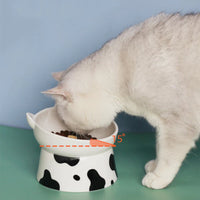 HKM-8443837 Ceramic Pet Bowl with High Foot and Oblique Mouth Design for Cervical Spine Protection