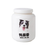 HKM-8453437 Ceramic Ash Urn for Pet Remains with Handmade Craftsmanship and Storage for Teeth and Hair