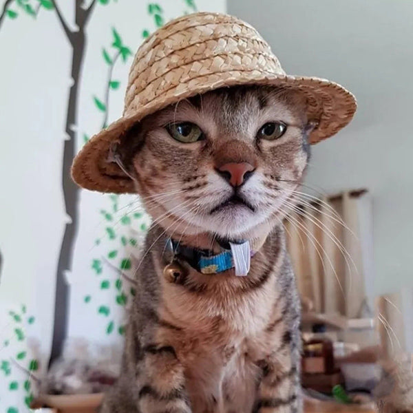 HKM-8454205 Vintage Farmer Hat Ornament - Striped Straw Design for Cats & Dogs, Suitable for All Seasons