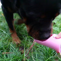 HKM-8455229 Portable Leak-Proof Pet Water Bottle with Food Dispenser for Traveling and Walking