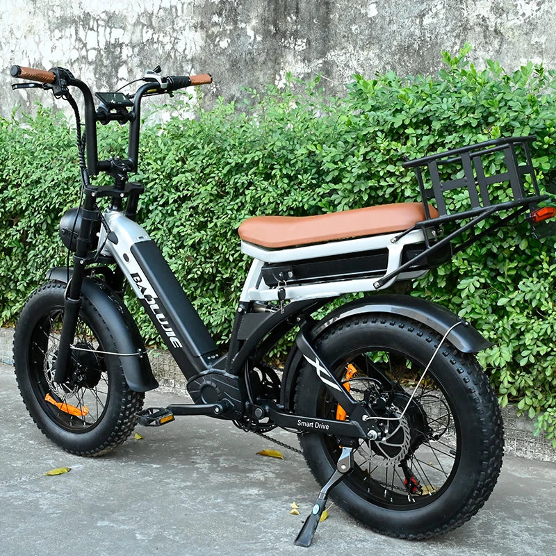 HKM-846483 48V 30AH Lithium Battery Electric City Bike with 2000W Central Motor and Disc Brakes