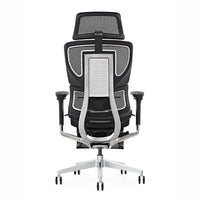 HKM-846611 Ergonomic Mesh Office Chair with Lumbar Support and Adjustable Footrest