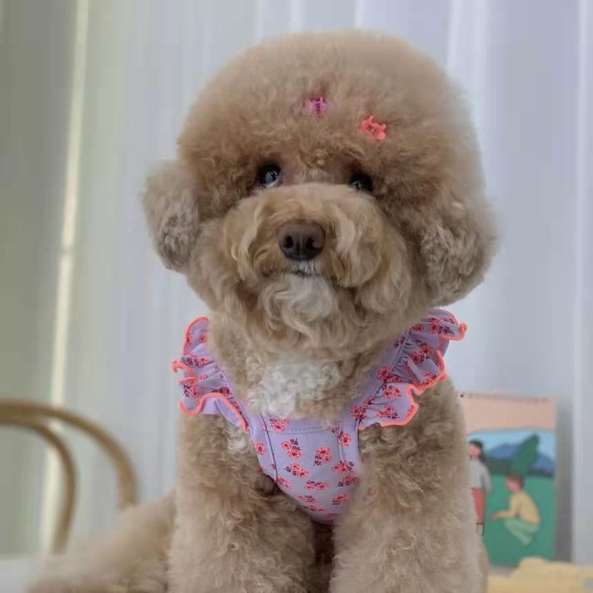 HKM-8471229 Flying Sleeve Dog Skirt in Floral Designs for Small to Large Dogs