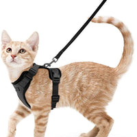 HKM-8475709 Adjustable Nylon Cat Vest with Anti-Breakaway Leash in Fashionable Style