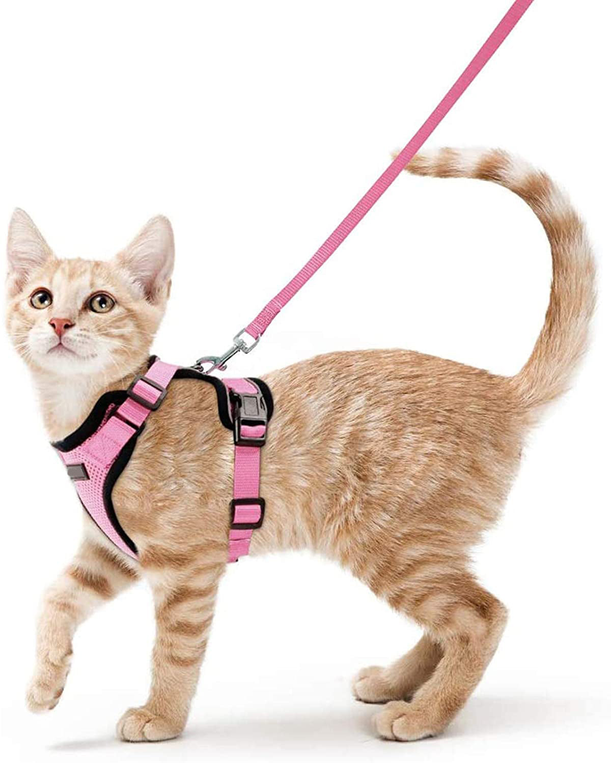 HKM-8475709 Adjustable Nylon Cat Vest with Anti-Breakaway Leash in Fashionable Style