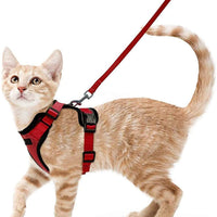 HKM-8475709 Adjustable Nylon Cat Vest with Anti-Breakaway Leash in Fashionable Style