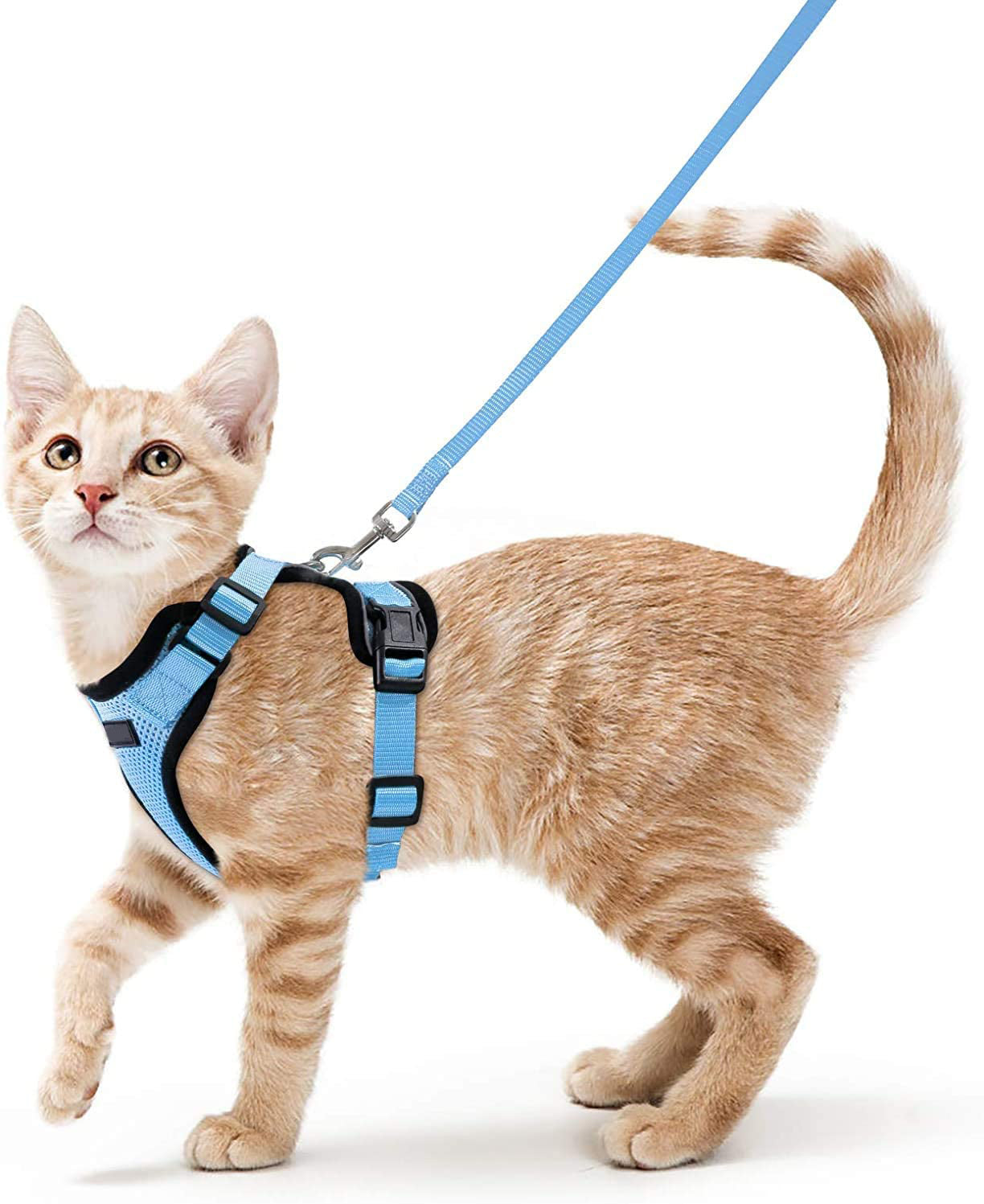 HKM-8475709 Adjustable Nylon Cat Vest with Anti-Breakaway Leash in Fashionable Style