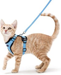 HKM-8475709 Adjustable Nylon Cat Vest with Anti-Breakaway Leash in Fashionable Style