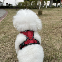 HKM-8475709 Adjustable Nylon Cat Vest with Anti-Breakaway Leash in Fashionable Style