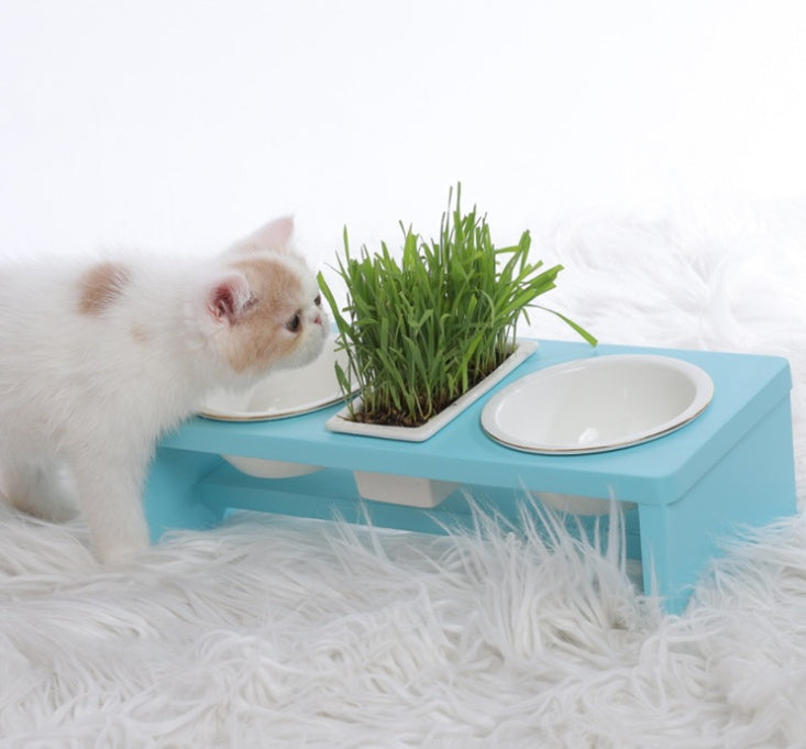 HKM-8476605 Elegant Cat Dish Rack with Bowls and Stents - Multiple Colors Available