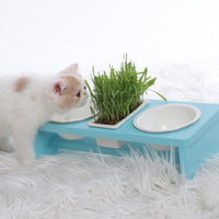 HKM-8476605 Elegant Cat Dish Rack with Bowls and Stents - Multiple Colors Available