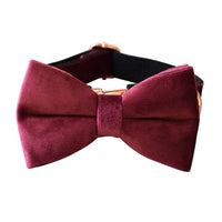 HKM-8478397 Bowknot Velvet Dog Leash and Collar Set for All Seasons - Stylish Casual Design in Monochrome