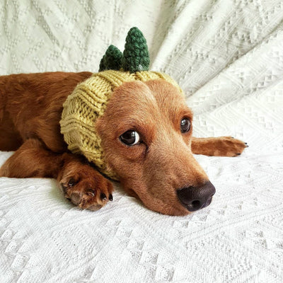 HKM-8486973 Warm Windproof Knitted Pet Dog Head Cover - Various Styles Available
