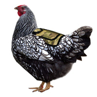 HKM-8487741 Adjustable Chicken Saddle for Poultry - Outdoor Feather Protection in Red, Blue, Purple, and CP Camouflage